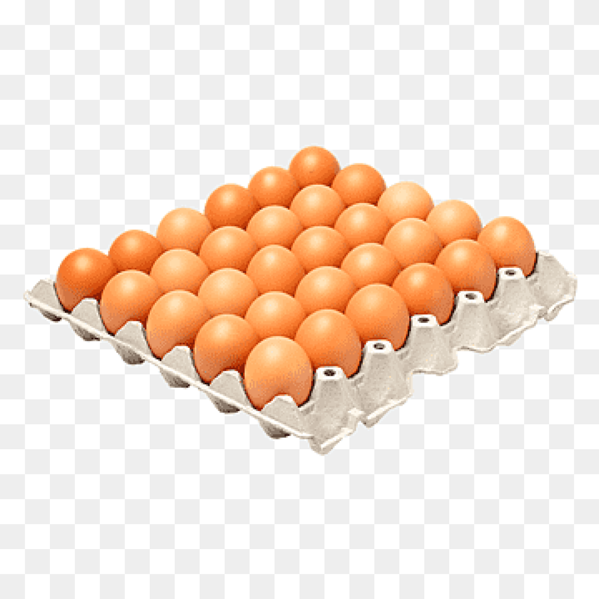 Egg 14+